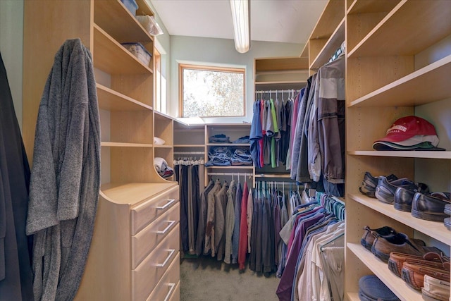 spacious closet featuring carpet flooring