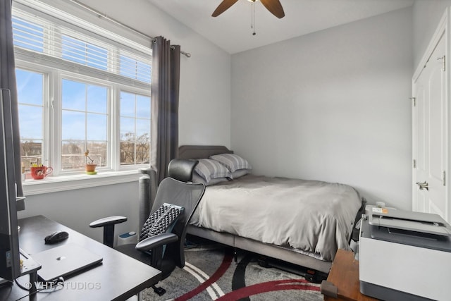 bedroom with ceiling fan and multiple windows