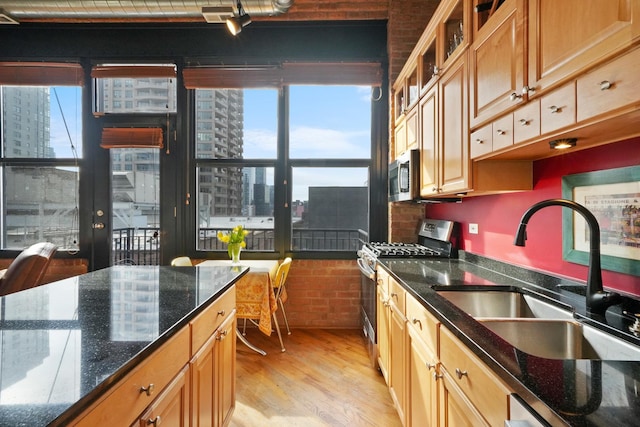 kitchen with a city view, appliances with stainless steel finishes, light wood-style floors, a sink, and dark stone counters