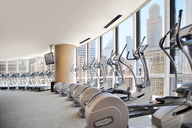 gym featuring a wall of windows and carpet