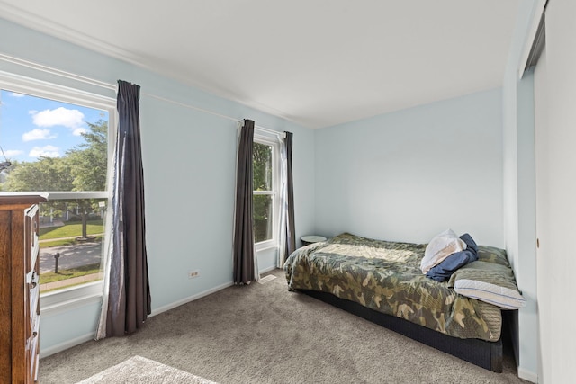 2031 Edinburgh Ln, Aurora, IL 60504 - carpeted bedroom featuring baseboards