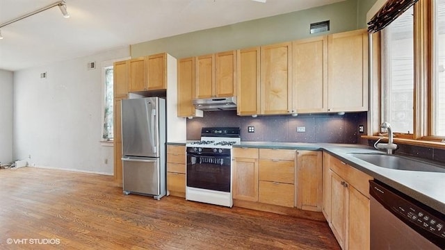 kitchen with under cabinet range hood, appliances with stainless steel finishes, light countertops, and a sink