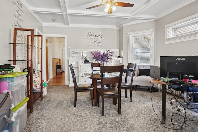 carpeted dining space featuring a ceiling fan, beam ceiling, and coffered ceiling