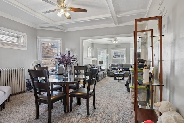 carpeted dining area with coffered ceiling, ceiling fan, radiator heating unit, beamed ceiling, and a textured ceiling