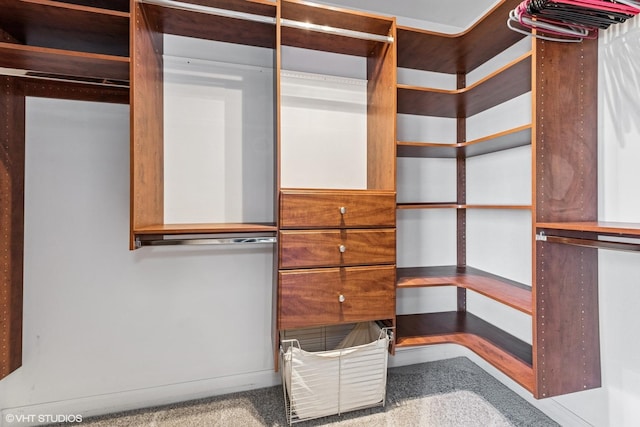 spacious closet featuring carpet flooring