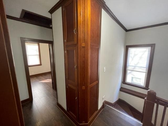 12120 S Parnell Ave, Chicago, IL 60628 - corridor featuring crown molding, dark wood finished floors, and baseboards