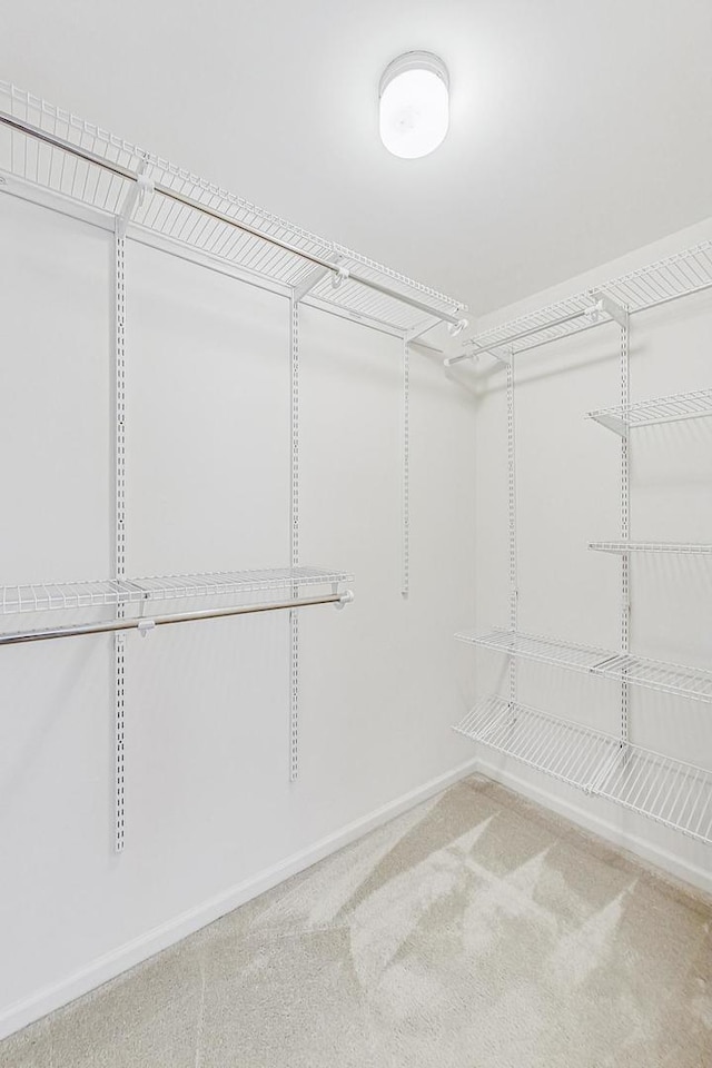 spacious closet with carpet flooring