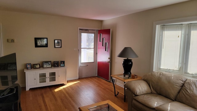 living room with wood finished floors