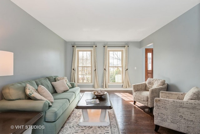 living room featuring wood finished floors