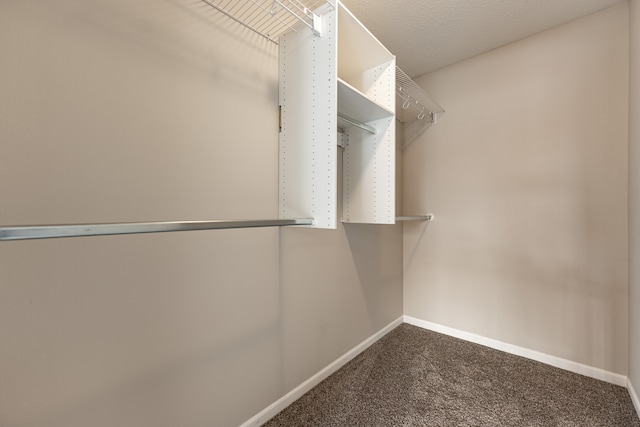 walk in closet with carpet