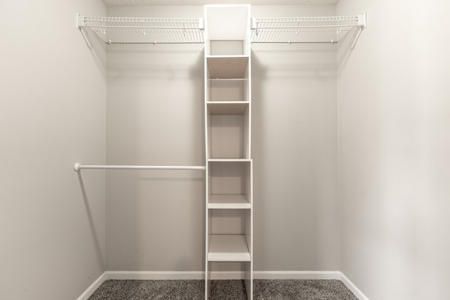 walk in closet featuring carpet flooring