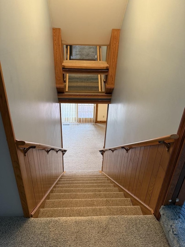 stairs featuring a wainscoted wall, carpet flooring, and wooden walls