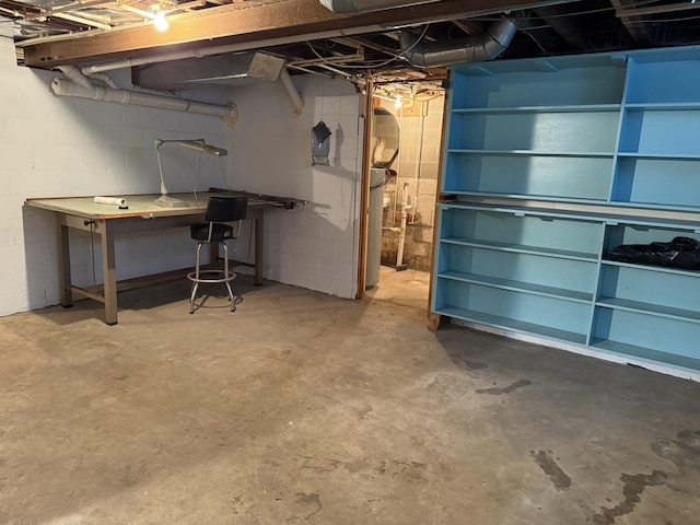 view of unfinished basement