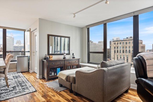 living area with a healthy amount of sunlight, wood finished floors, rail lighting, and a city view