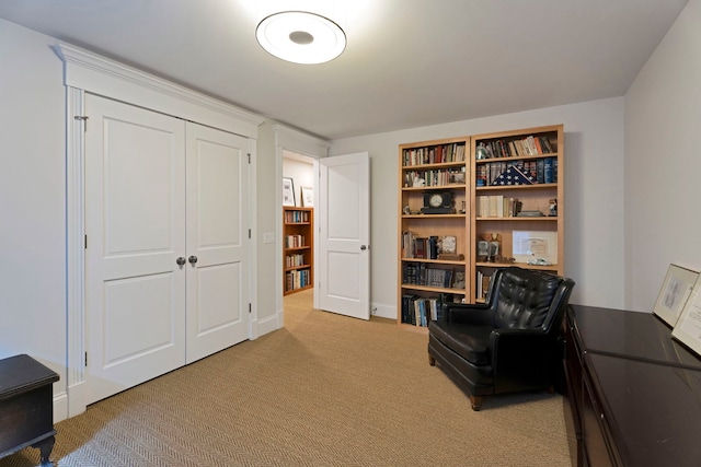 living area with light carpet