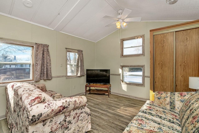 living area with lofted ceiling, ceiling fan, dark wood finished floors, and a wealth of natural light