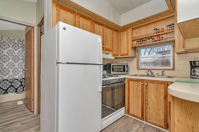 kitchen featuring light countertops, light wood-style flooring, brown cabinetry, a sink, and white appliances