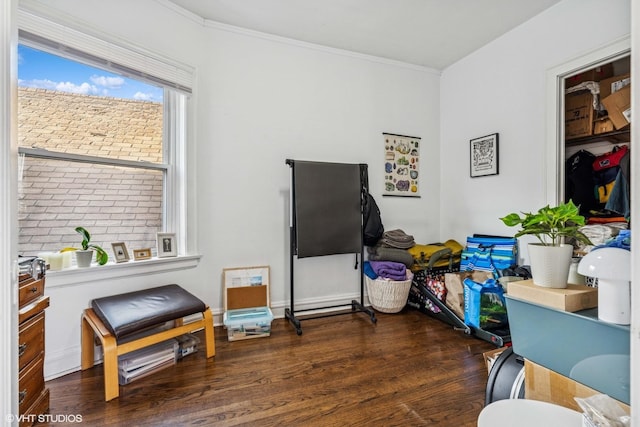 interior space featuring ornamental molding and wood finished floors