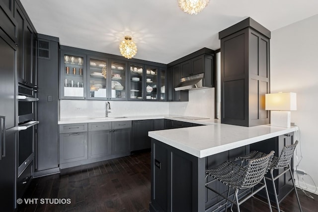 kitchen featuring dark wood-style flooring, a sink, under cabinet range hood, and a peninsula