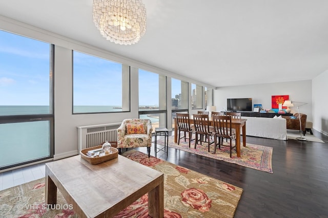 dining area featuring radiator, an inviting chandelier, wood finished floors, a wall of windows, and baseboards