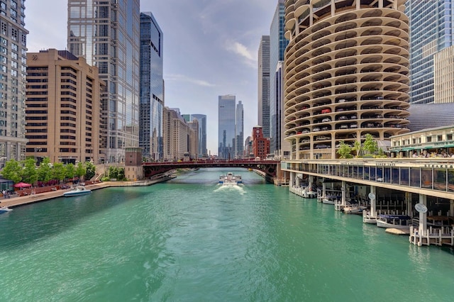 water view featuring a view of city