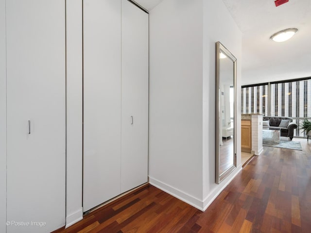 hall featuring baseboards and dark wood finished floors