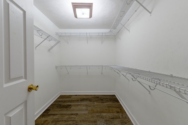 spacious closet featuring dark wood finished floors