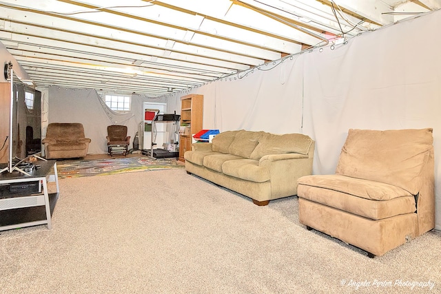 basement with carpet floors