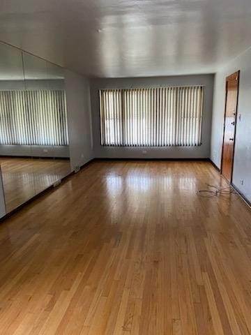 empty room featuring light wood-style flooring, radiator heating unit, and a wealth of natural light