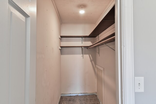208 Carol Ct Unit A2, Pontiac, IL 61764 - walk in closet featuring carpet floors