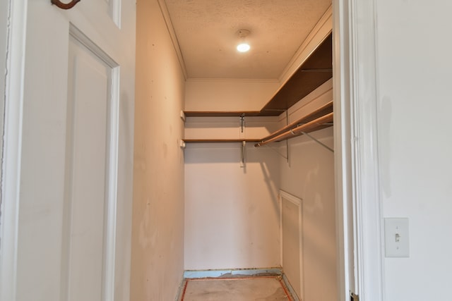 view of walk in closet