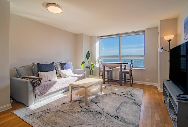 living area with baseboards and light wood-style floors