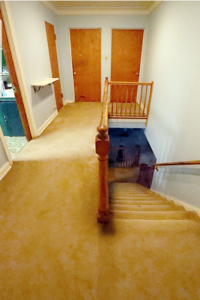 staircase with crown molding and carpet floors