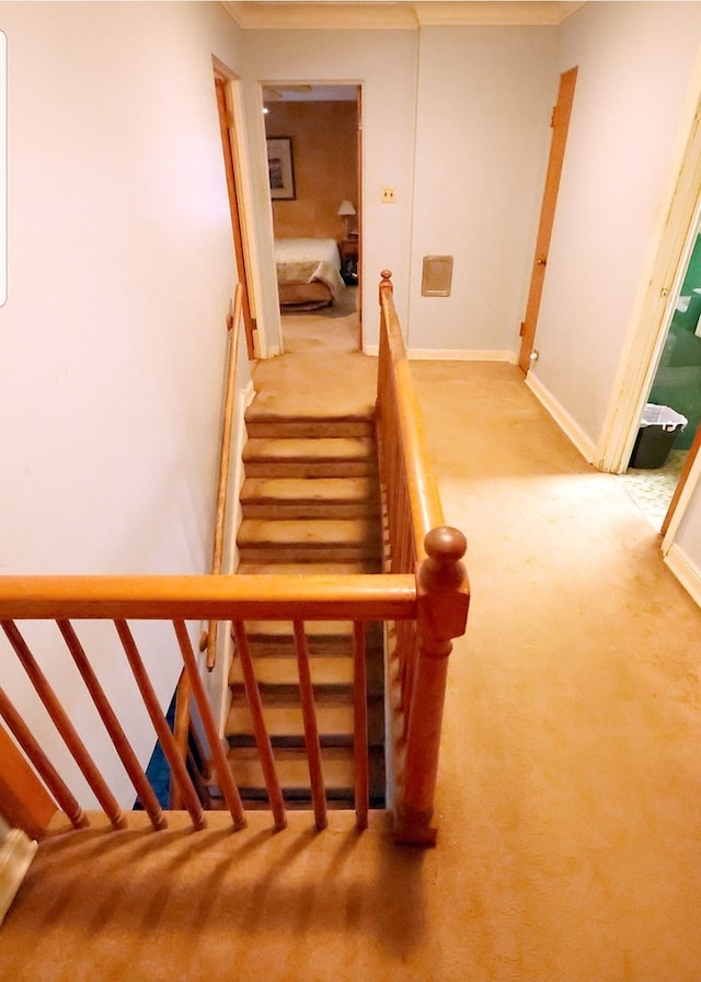 staircase with carpet and baseboards