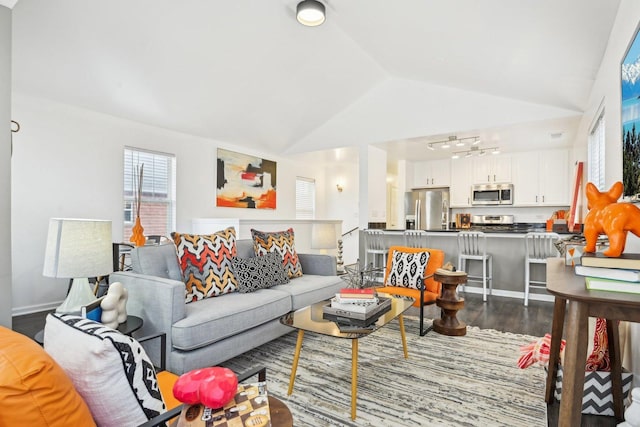 living area with lofted ceiling, baseboards, and dark wood-type flooring