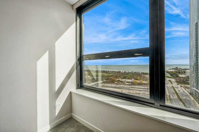 details featuring carpet, a water view, and baseboards