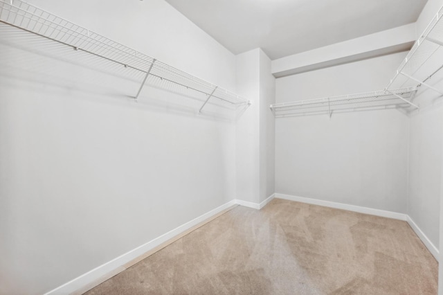 spacious closet featuring light colored carpet