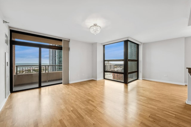 spare room featuring floor to ceiling windows, plenty of natural light, and light wood-style flooring