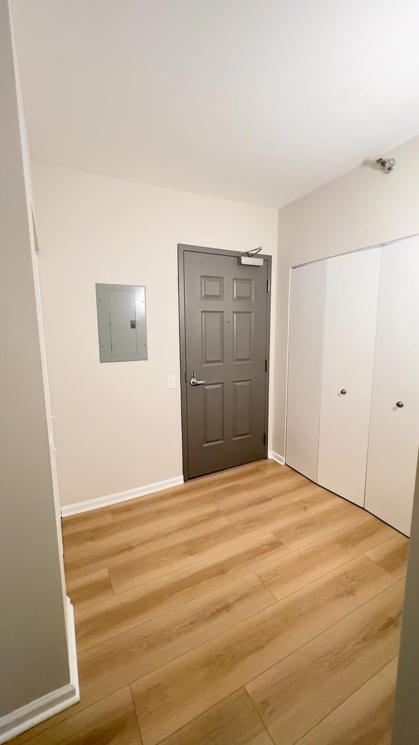 interior space featuring light wood-style floors, electric panel, baseboards, and a closet