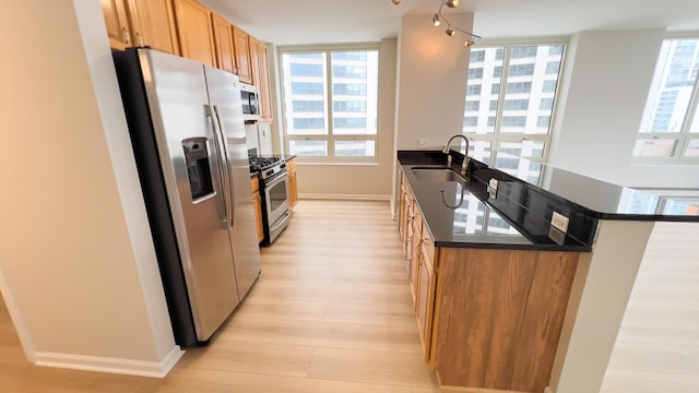 kitchen featuring light wood finished floors, appliances with stainless steel finishes, plenty of natural light, and a sink