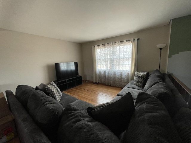 living room featuring wood finished floors