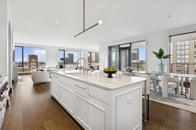 kitchen with white cabinets, an island with sink, light stone counters, open floor plan, and a sink