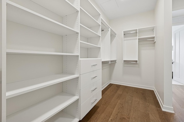 walk in closet with dark wood-style flooring