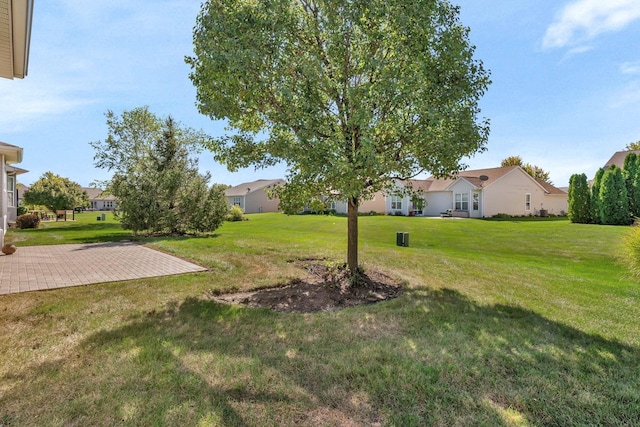 view of yard with a patio area and a residential view