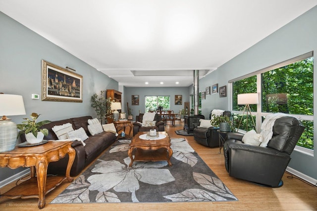 living area featuring baseboards and wood finished floors