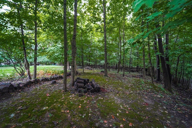 view of yard with a forest view