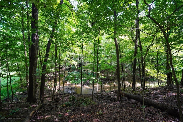 view of local wilderness with a wooded view