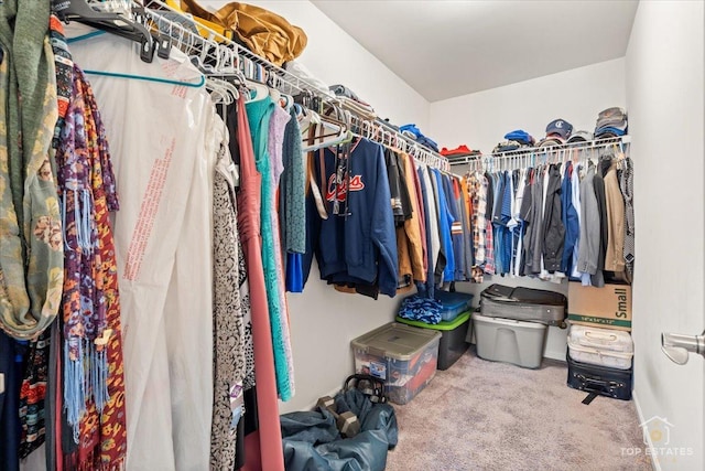 walk in closet featuring carpet