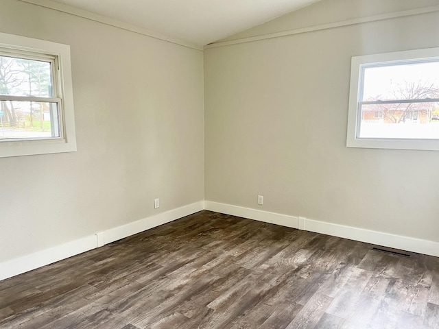 empty room featuring dark wood finished floors, vaulted ceiling, and a wealth of natural light