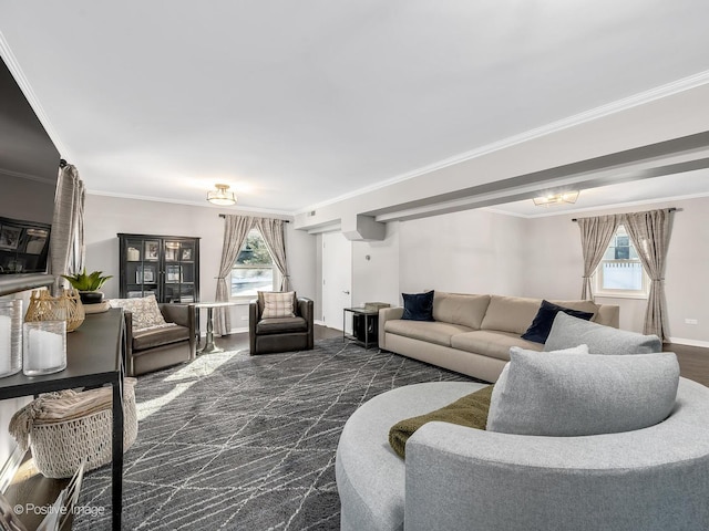 living room with a healthy amount of sunlight, crown molding, and baseboards